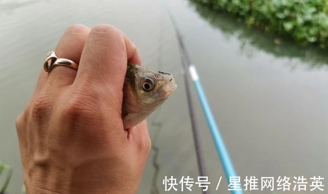 入口性|蚯蚓挂钩的6个小技巧，学会后渔获多多，一条接着一条