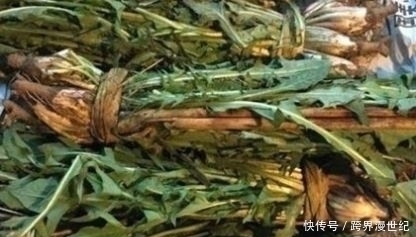 年龄|这种草,确实天然“雄激素”,男人喝一口,年龄越大喝越好