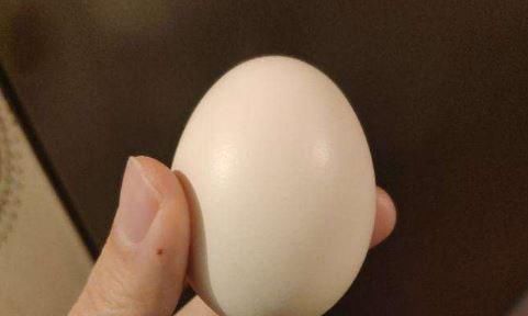 药用价值|早晨起来吃个鸡蛋,身体不会差,但需注意3不,别为家人健康买单