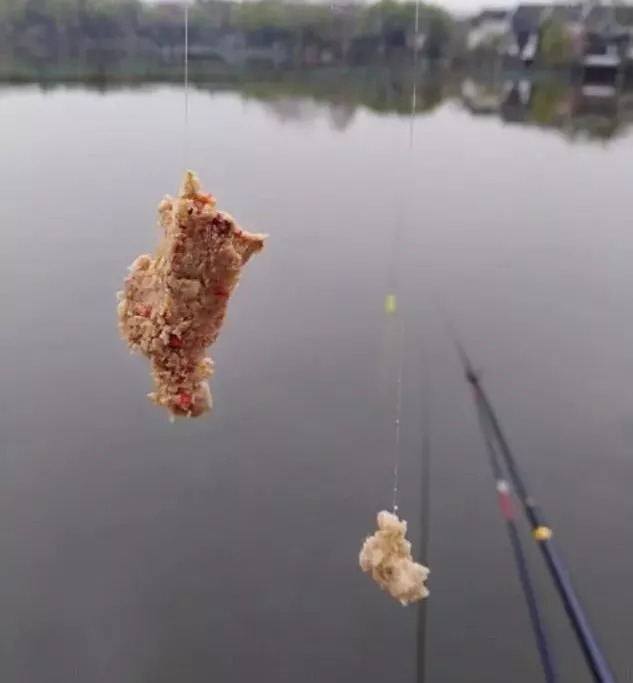 冬天不打窝就钓不到鱼?教你2招,不打窝鱼也能疯狂上钩!