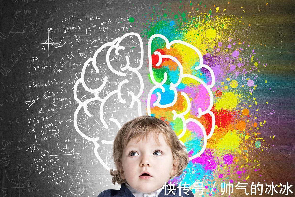 成人|早在胚胎时期,宝宝的大脑就开始发育,怎样助力成就聪明大脑呢