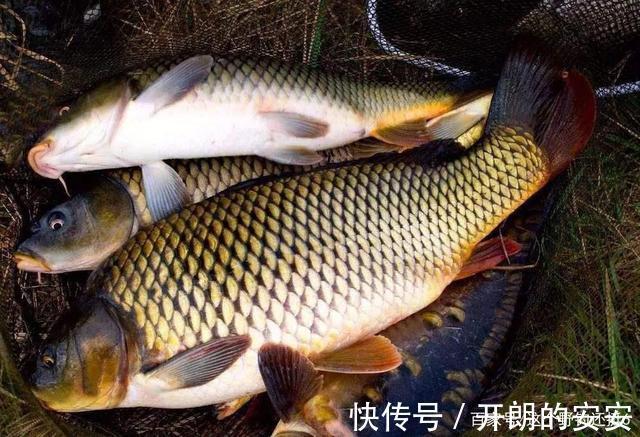 现在钓鱼人是最好骗的时候，为钓鱼舍得花钱，但别缴智商税