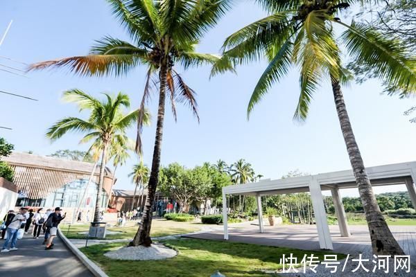 黎族|走进保亭布隆赛:近距离感受黎族特色乡村之旅