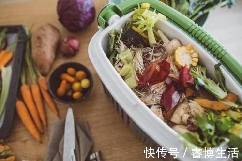 花草|这些垃圾废料拿来养花，你以为是“青铜”，结果全是“王者”