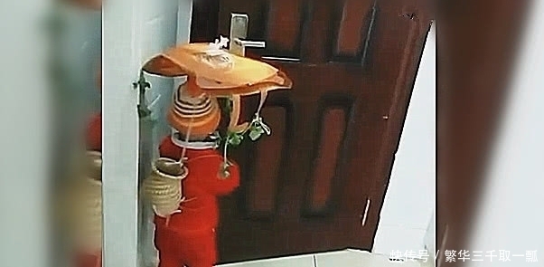 孙子|雨天宝宝非要出去耍,然后就成了这样,网友:要“登基”啊!