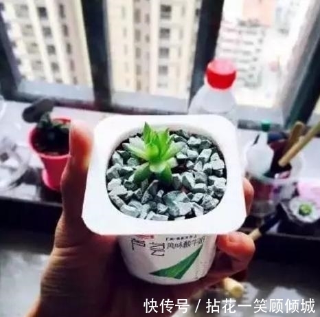 用来|家里这些破烂别丢了,用来养花,能省不少钱,啥花都喜欢!