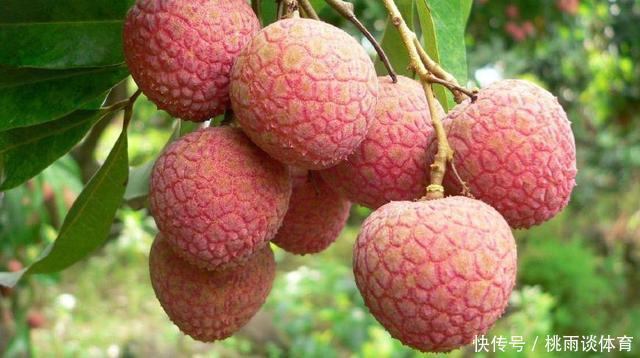 糖尿病|糖尿病人不能吃甜食？提醒您：其实糖尿病人不能碰的是3种食物