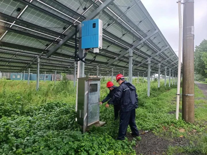 塘坝|应对台风“烟花”，岚山在行动