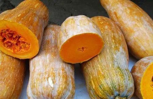 葵花子|大脑最爱的食物,竟然不是核桃,完全没想到~