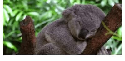 華晨宇|這首華晨宇原創兒歌，誰聽誰可愛！