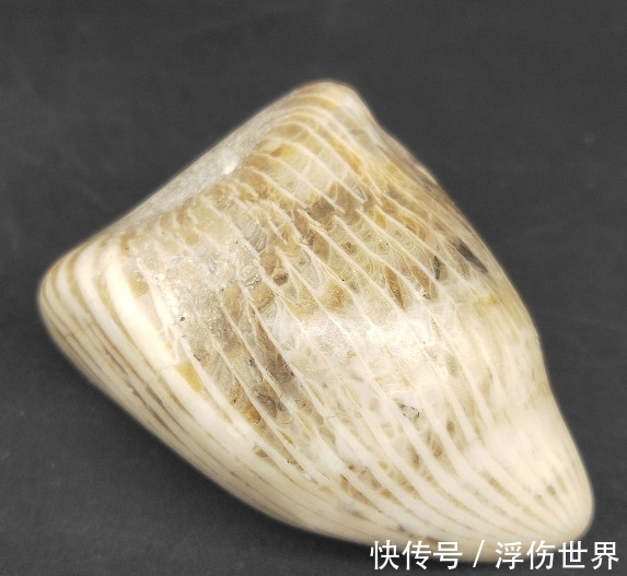 玛瑙|欣赏父亲收藏的天然奇石,瑰丽多彩的画面美观,大家好好看下