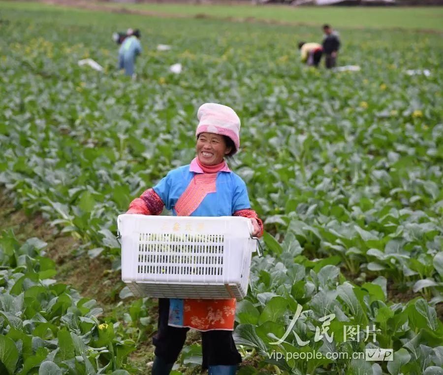 黔东南|印象黔东南(榕江)，自然美，生活之美