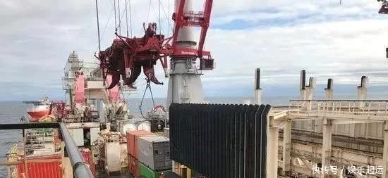 时刻|特朗普被扔进“垃圾箱”?大选最后时刻,德国表明立场,拜登笑了