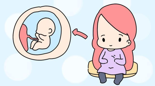 dh胎儿大脑发育的关键期