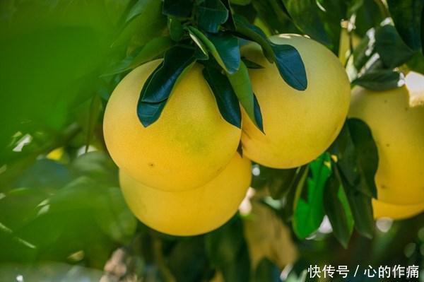 冬天孩子发育的黄金期,常吃3种食物,健脑益智,视力越来越好