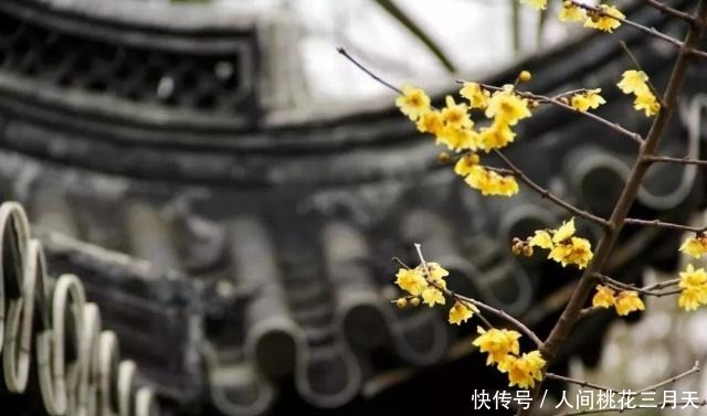 话不可随口,事不可随心,人不可随意(深度)