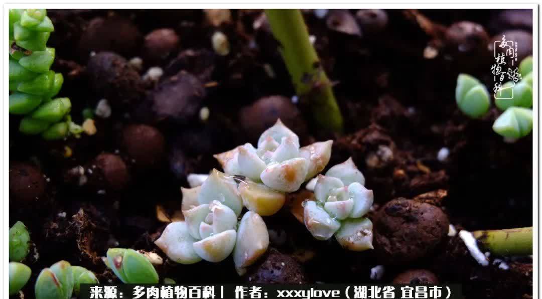 时光匆匆,一闪而逝,这世间万物的美,都值得被记录!