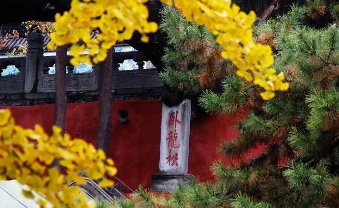  门头沟|古寺有灵知秋日，芳华无限在戒台——到门头沟最美的寺庙打卡