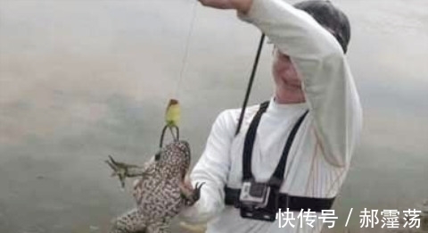 男子用活鼠去垂钓,既然被这大物给盯上了,可把他给乐坏了