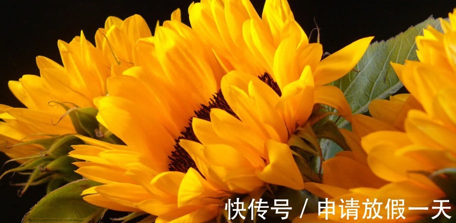 运气@人都是有运气的,一旦做事有这三个“特征”,恭喜你,好运来了