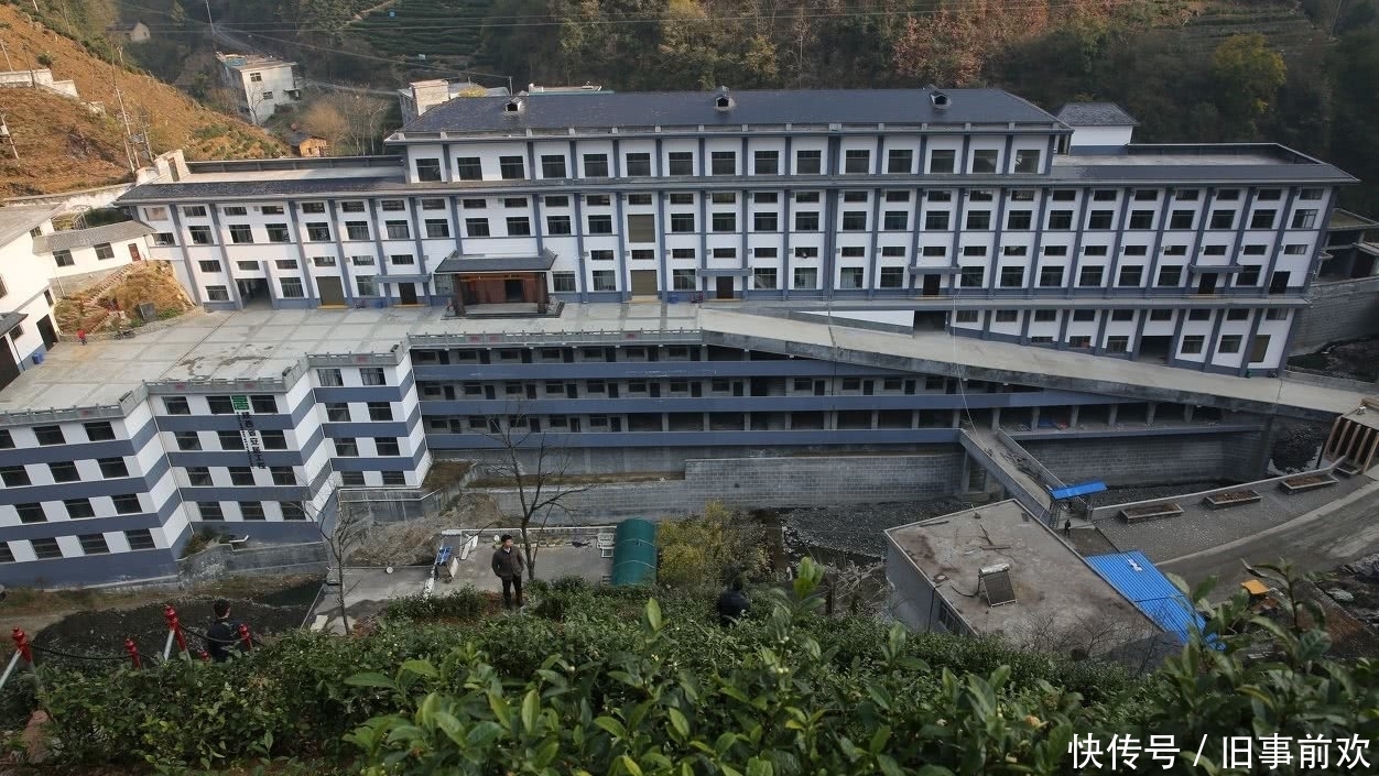 生意|男子四年时间，花六千万把一座大山盖进楼里，走近室内一瞧不得了