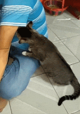 |搞笑GIF:我说这这外观和配置都到头了没人反对吧?