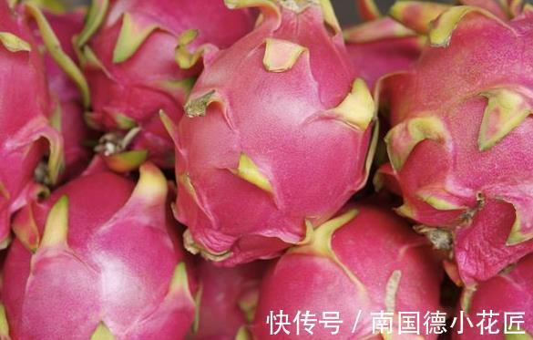 火龙果|吃剩的火龙果皮不要扔掉,有效解决多人的难言之隐,赶快来了解下