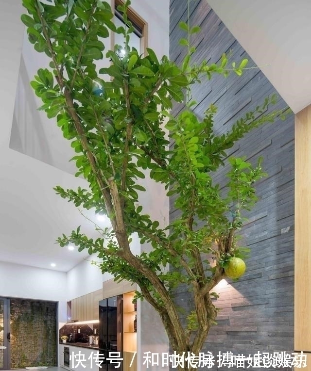 壁挂电视|卖掉城里100㎡,回农村建230㎡别墅,一楼院子顶楼露台,生活安逸