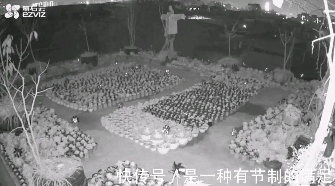 四川大哥养多肉，创意无极限，生活巴适得很！