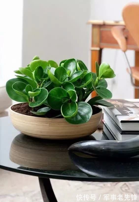 败笔！时光轻绕指，人生写成诗