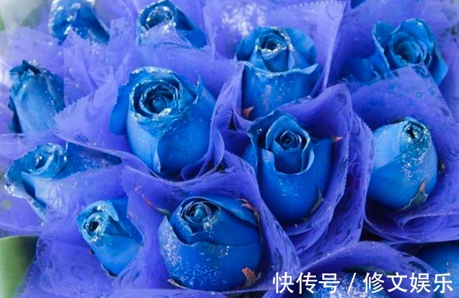 此花是花中新贵，妖媚动人，花语更让人流连忘返，送人首选的花卉