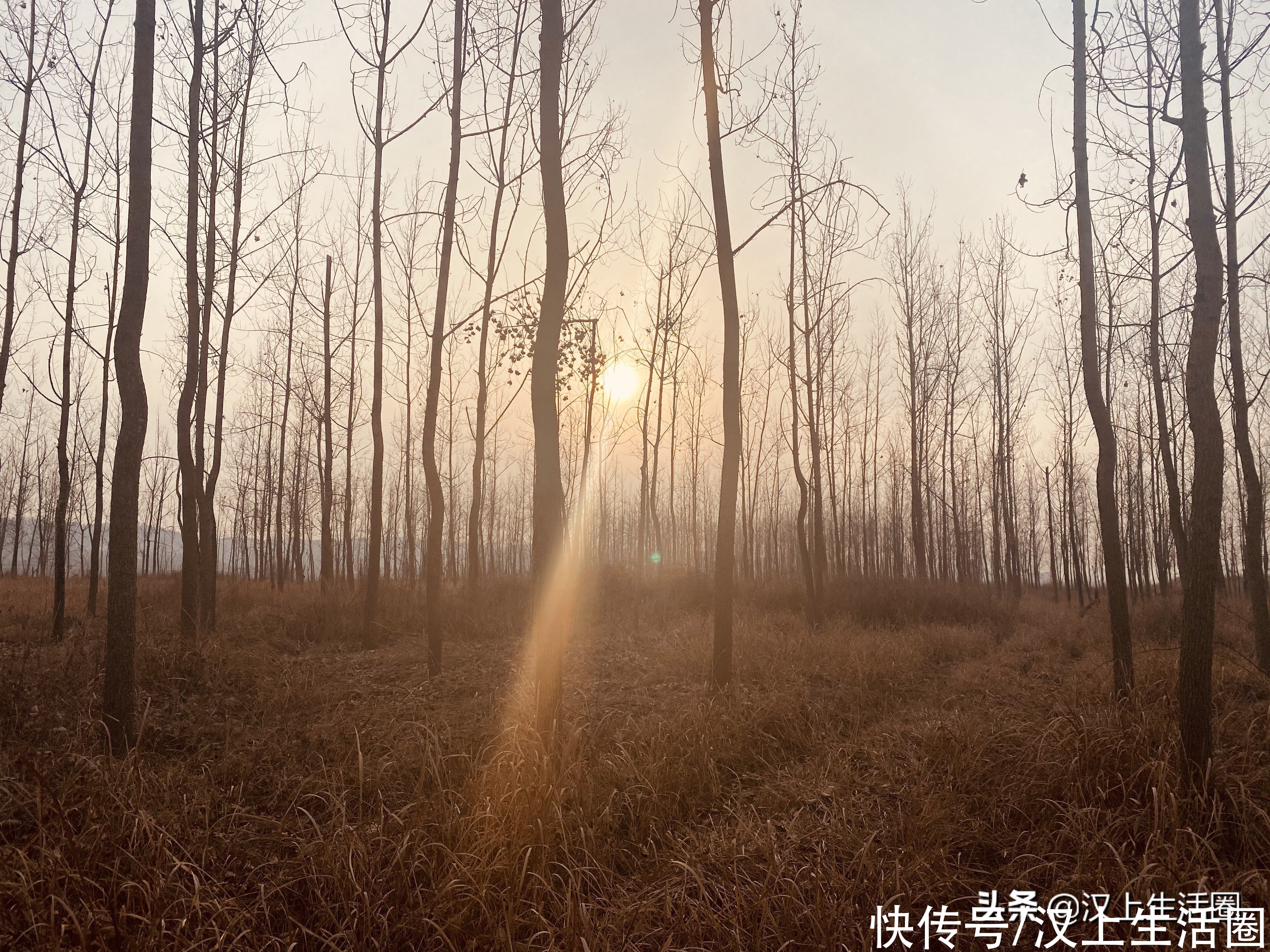 墨秋日曰：独卧溪边任水流，静坐青石意悠悠，风爱荒野