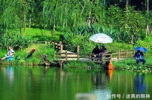 钓鱼|春天来了，大鲫鱼喜欢藏在这些位置，这些地方下竿一钓一个准！