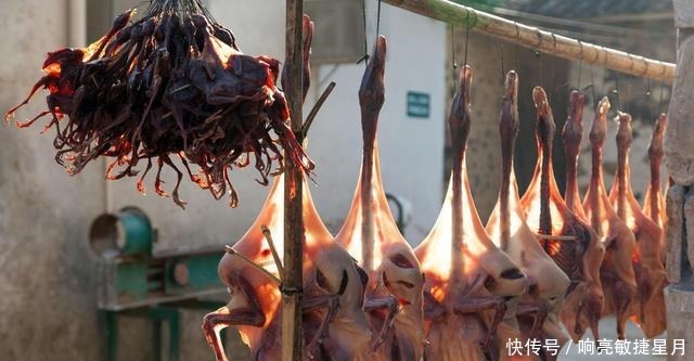 坚硬如木板,其貌不扬的鸭子,竟是遂川人的宝,遂川板鸭了解一下