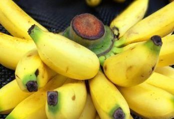 春天不想肌肤衰老,建议吃的食物,促进代谢,缓解便秘,美容肌肤