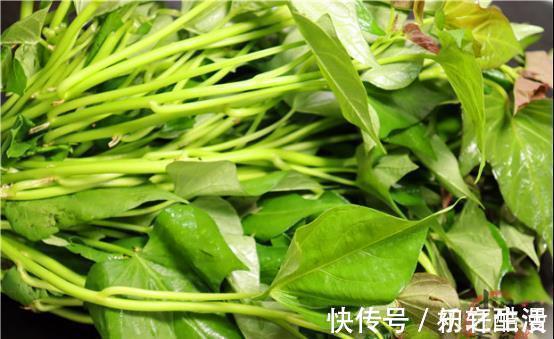 红薯叶|3种有钱不一定能买到的绿色蔬菜，含钙高还不打药，夏季吃正当时