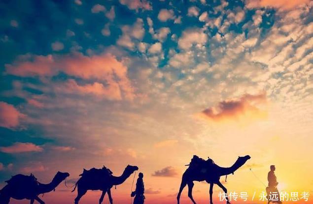 皇帝|汉武帝究竟有多伟大两千年后,这些创举使我国变得无比强大!