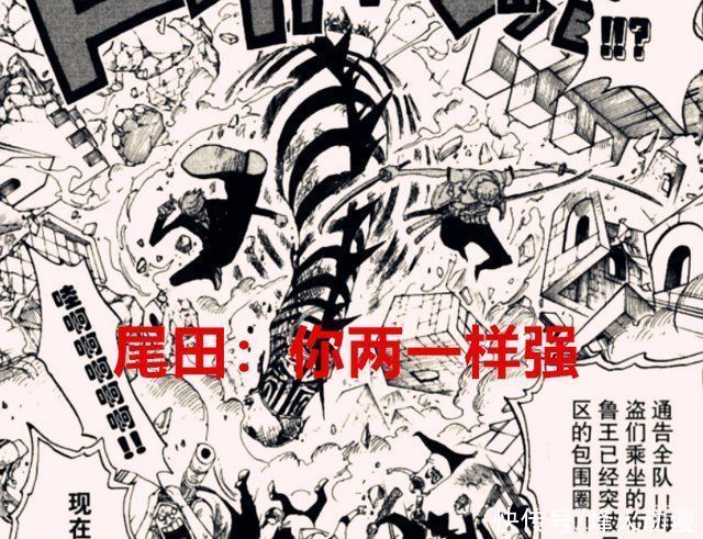 路飞|海贼王1022话尾田早已设定山治和索隆是三灾等级,网友不服而已