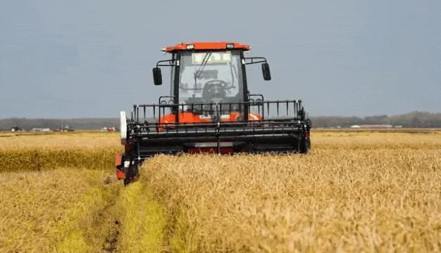 无人化|“三驾马车”齐头并进，碧桂园长期主义再被验证