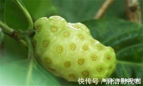 子宫|秋天养生，女性不妨多吃3种食物，排毒养颜，预防子宫早衰