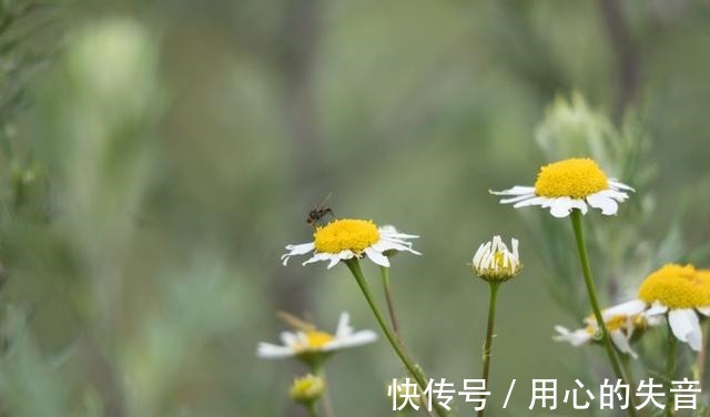 浪漫的事|姻缘天赐，缘分暗示，月老相助，幸福无比，再次相爱