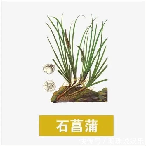 治记忆力“越来越差”的小方子一味药,打破我对中医的疑虑