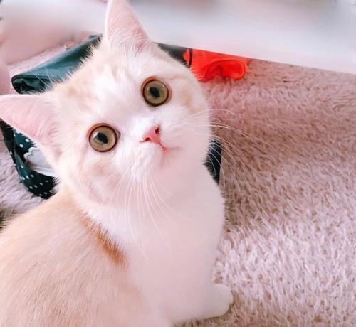 |幽默笑话:老婆,你能把脚盖上点吗,有味儿,呛的