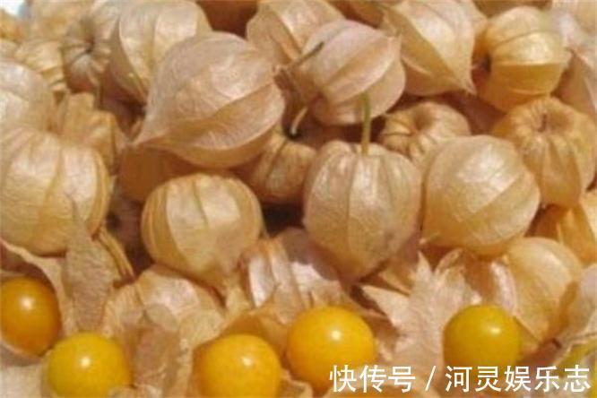 此果|三伏天来了,不妨多吃此果 ,益气补血,增强免疫力,早吃早好