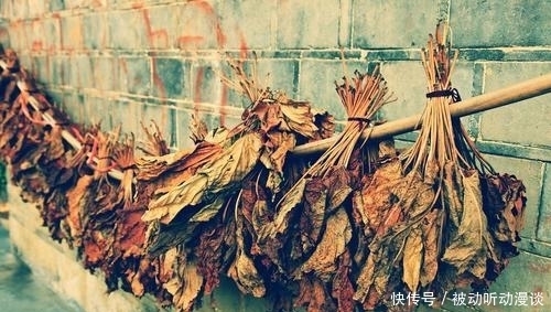 和民国总理熊希龄、沈从文并称“凤凰三杰”的军人,却写了下大作