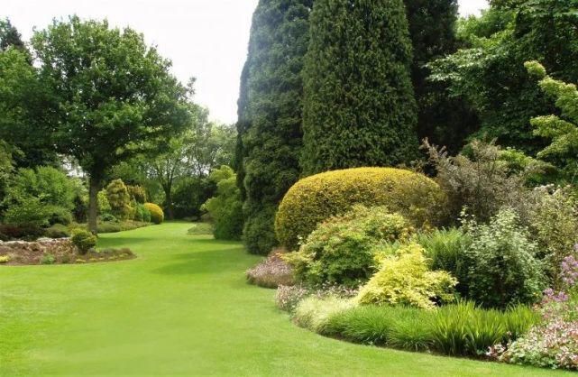 植物“整形”，花样百出