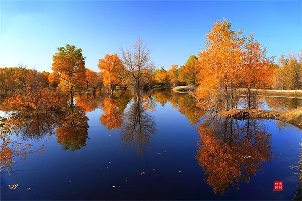 满园春色宫墙柳$意境最美的10首古诗词,陶醉其中
