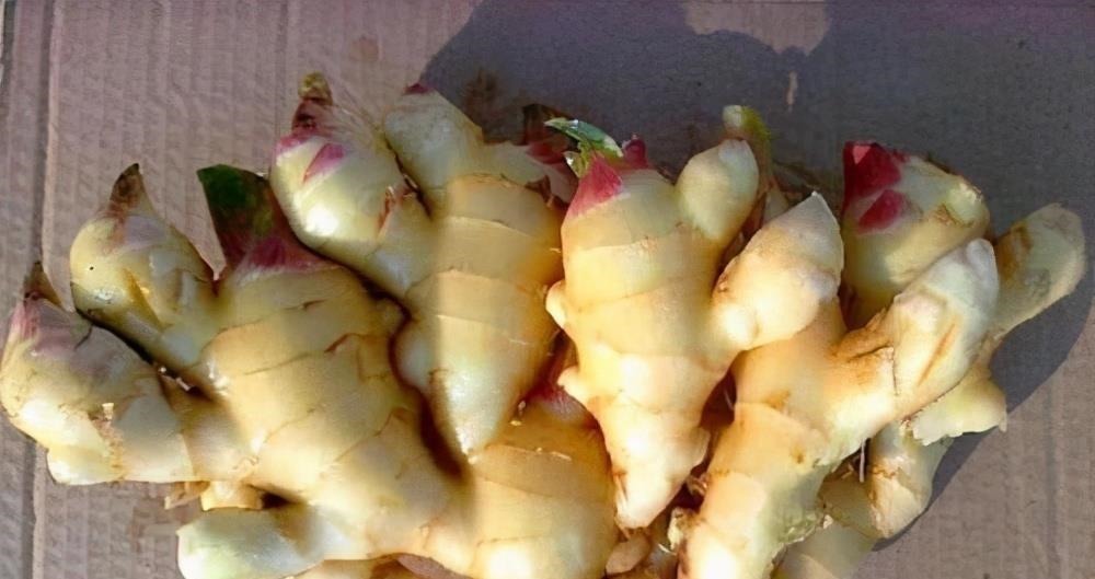 才知道这种生姜不能买,菜贩子从来不吃,为了家人健康,不妨看看