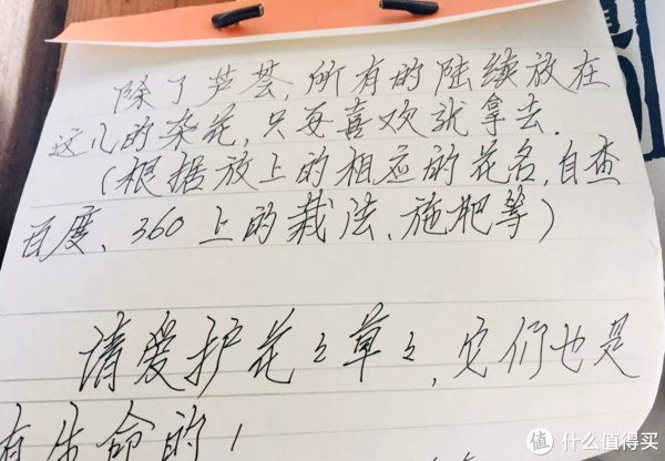 楼道|4种“自嗨”行为看似聪明，实则是愚蠢，浪费钱的同时还有反作用