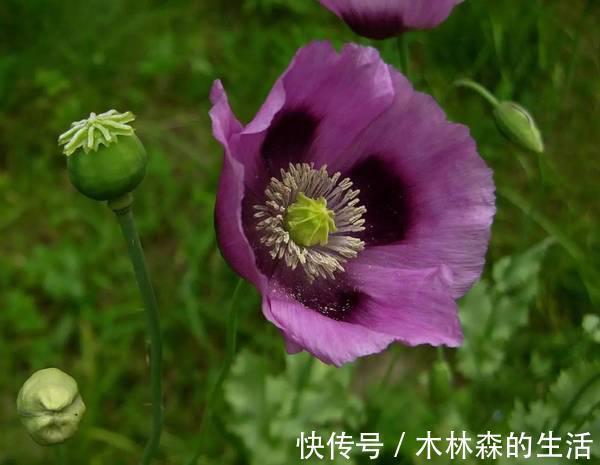 临床研究|夏天常见的皮肤病,就用这几个家中常备药,超实用!